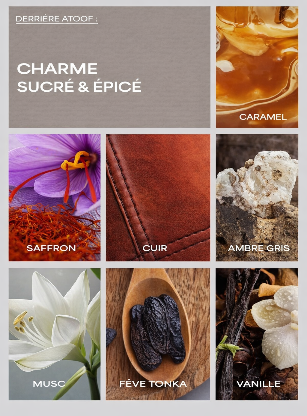 Parfum ATOOF – L’élégance qui marque les esprits